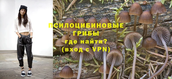 марки lsd Белокуриха