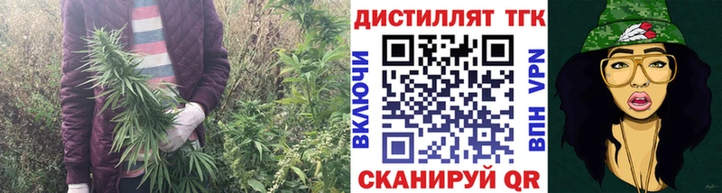 Дистиллят ТГК жижа  Купить где  Онега 